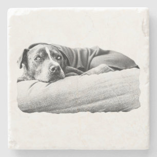 Blanket Nest Stone Coaster