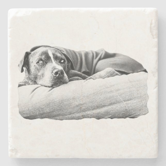 Blanket Nest Stone Coaster (Front)