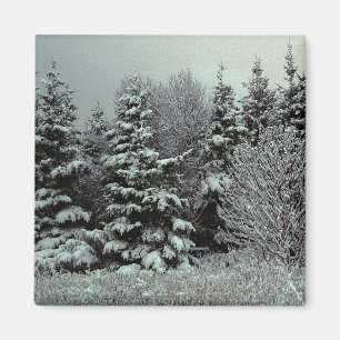 Blanket Of Snow Magnet