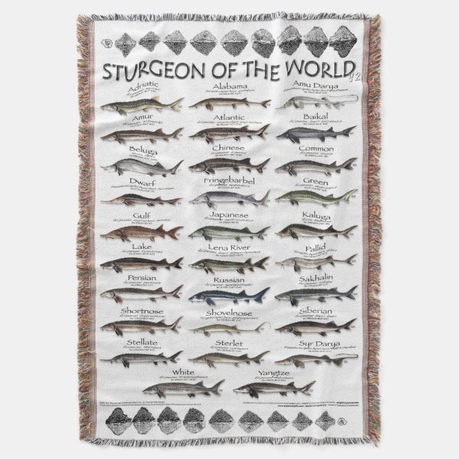 BLANKET -STURGEON OF THE WORLD POSTER -FIRST EVER  (Front Vertical)