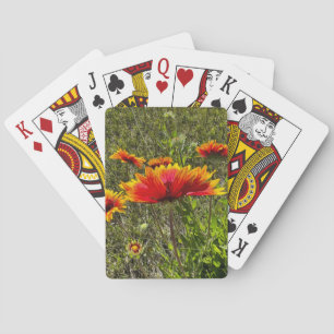 Blanketflower Classic Playing Cards, Grand Teton  Cards