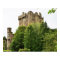 Blarney Castle, Ireland