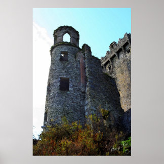 Blarney Castle, Ireland Poster