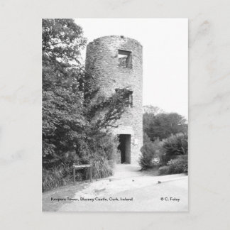 Blarney Castle Tower postcard
