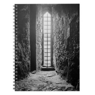 Blarney Defensive Window Notebook