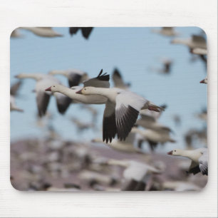 Blast Off In The Socorro Skies Mouse Pad