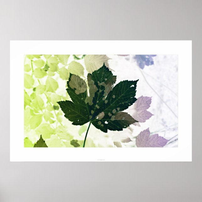 Blatt Poster (Front)