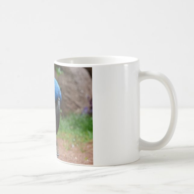 blauaras parrot coffee mug (Right)