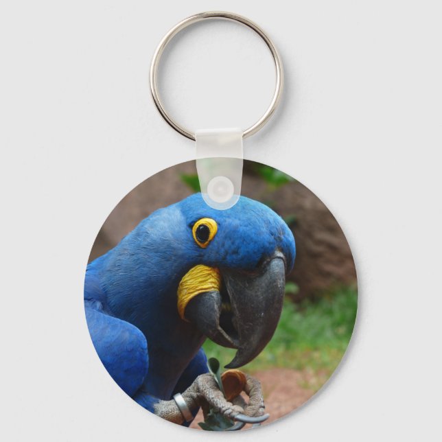 blauaras parrot key ring (Front)