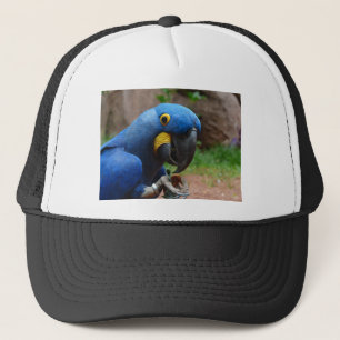 blauaras parrot trucker hat