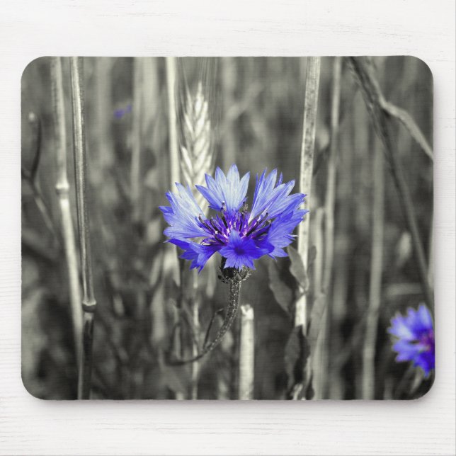 Blaue Kornblume Mouse Pad (Front)