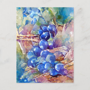 Blaue Weintrauben gemalt Postcard