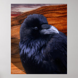 Blazen Raven Poster