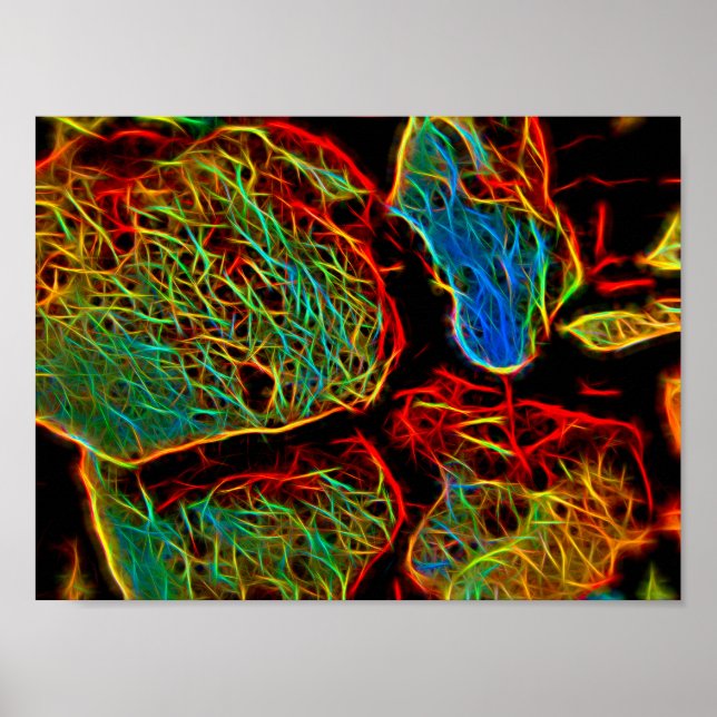 Blazing Neon Painted Pebbles Poster (Front)