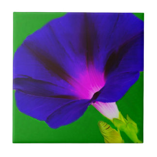 Blazing Purple-Pink Floral Ceramic Tile