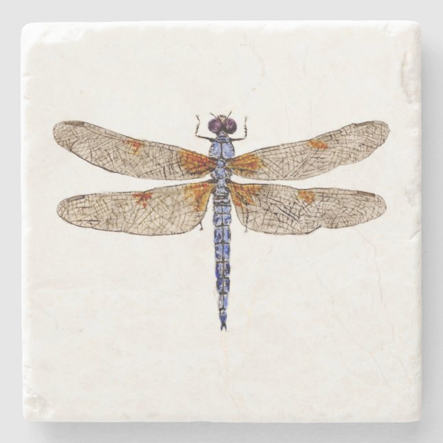 Bleached Skimmer Dragonfly Coaster (Front)