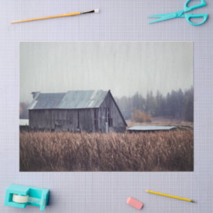 Bleak Abandoned Grey Barn in a Grain Field Tissue Paper