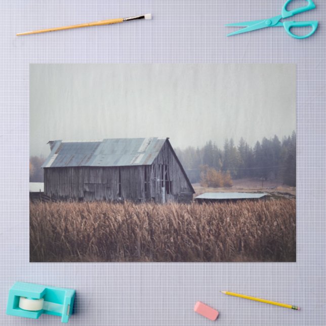 Bleak Abandoned Grey Barn in a Grain Field Tissue Paper (Craft)