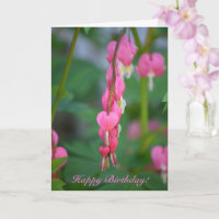 Bleeding Heart Birthday Greeting Card