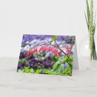 Bleeding-heart Card