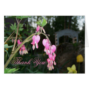 Bleeding Heart Flower