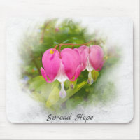 Bleeding heart flower macro