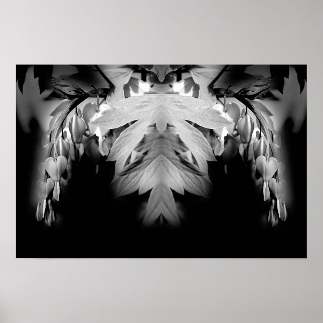 Bleeding Heart Flowers Black And White Abstract Poster (Front)