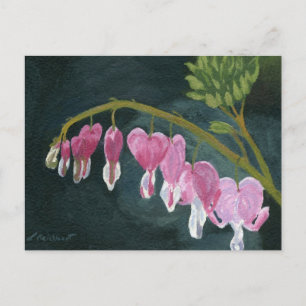 Bleeding Heart Postcard
