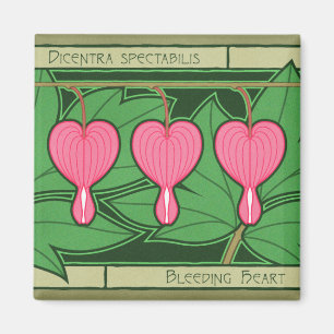 Bleeding Heart Square Magnet