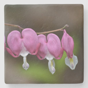 Bleeding Heart Stone Coaster