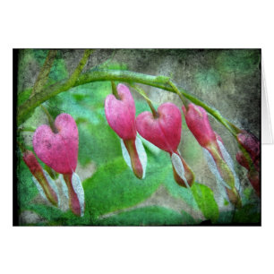 Bleeding Hearts
