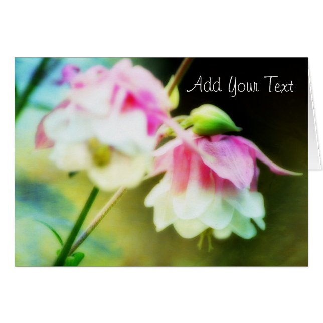 Bleeding Hearts by Shirley Taylor (Front Horizontal)