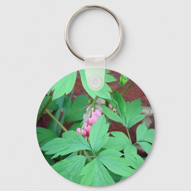 Bleeding Hearts Family Key Ring (Front)