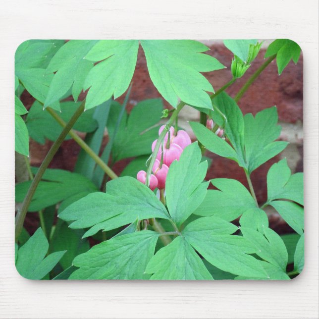 Bleeding Hearts Family Mouse Pad (Front)
