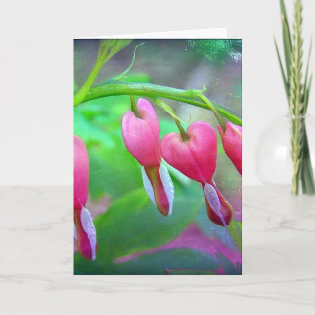 Bleeding Hearts Flowers Blank Inside All Occasion Card (Front)