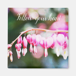 Bleeding Hearts Flowers Magnet