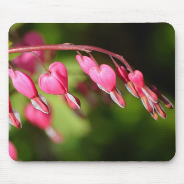 Bleeding hearts flowers on green background mouse pad (Front)