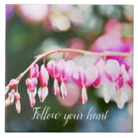 Bleeding Hearts Flowers pink floral photography