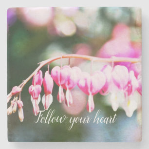 Bleeding Hearts Flowers pink floral photography Stone Coaster