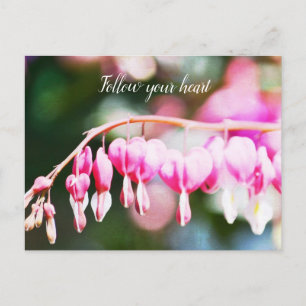 Bleeding Hearts Flowers Postcard