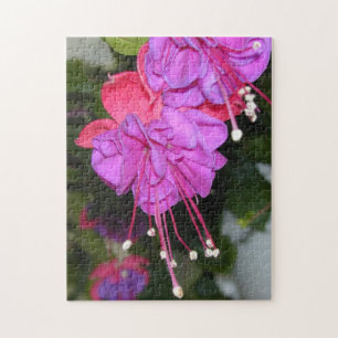 Bleeding Hearts Fuschia Puzzle