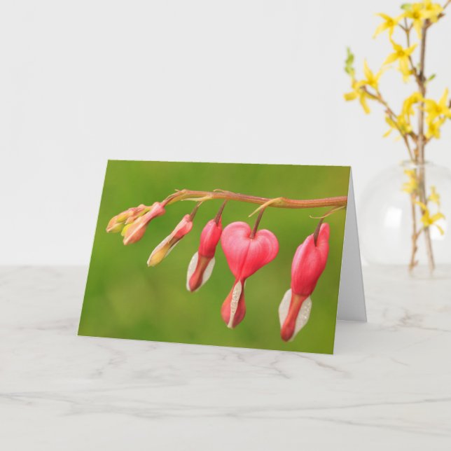 Bleeding Hearts Happy Birthday Card (Yellow Flower)