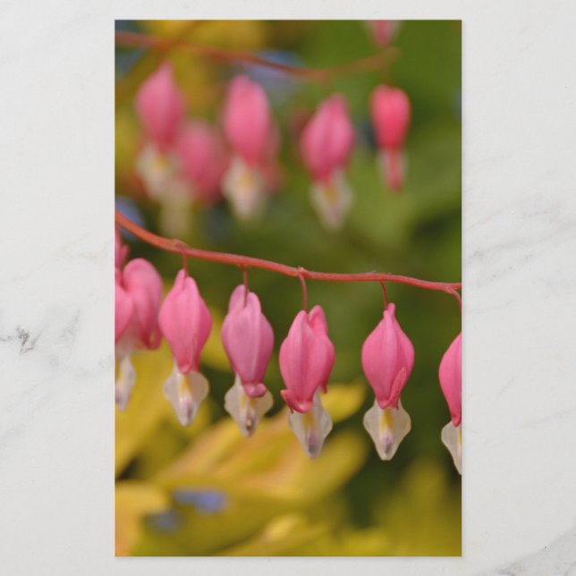 Bleeding Hearts Macro (Front)