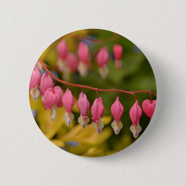 Bleeding Hearts Macro 6 Cm Round Badge (Front)