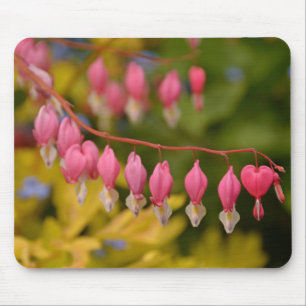 Bleeding Hearts Macro Mouse Pad