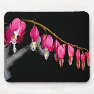 Bleeding Hearts Mouse Pad