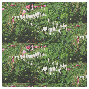 Bleeding Hearts Pink White Photograph Fabric