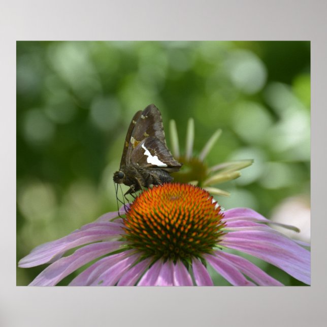 BLENDING OUT POSTER (Front)