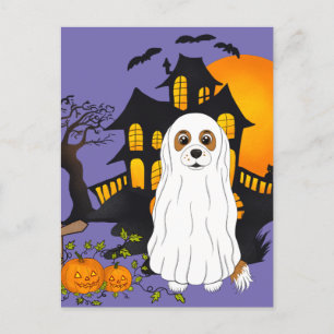 Blenheim Cavalier Ghost Halloween Postcard