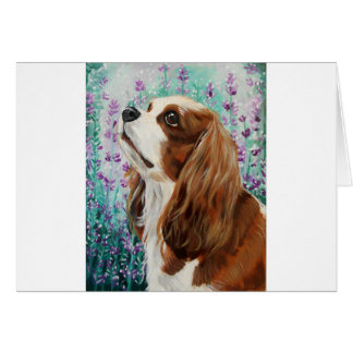 Blenheim Cavalier King Charles Spaniel